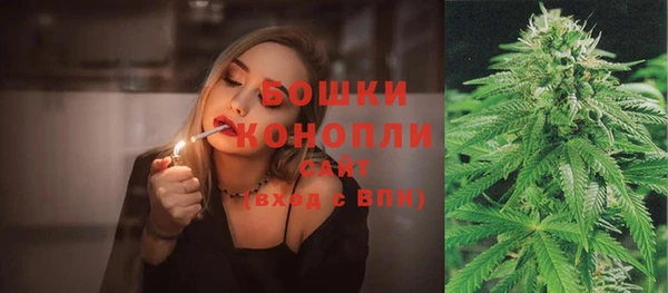 молекула духа Бугульма