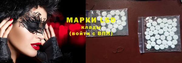 ECSTASY Бородино