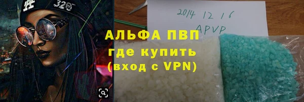 ECSTASY Бородино