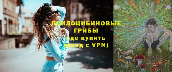 ECSTASY Бородино