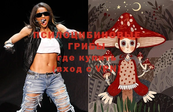 дживик Бронницы