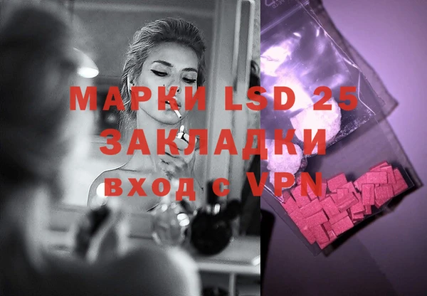 ECSTASY Бородино