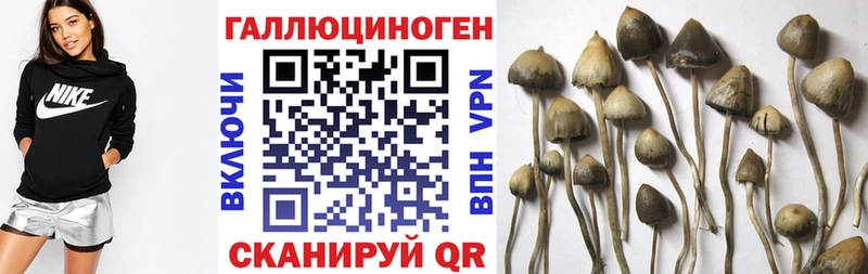 Галлюциногенные грибы ЛСД Карталы